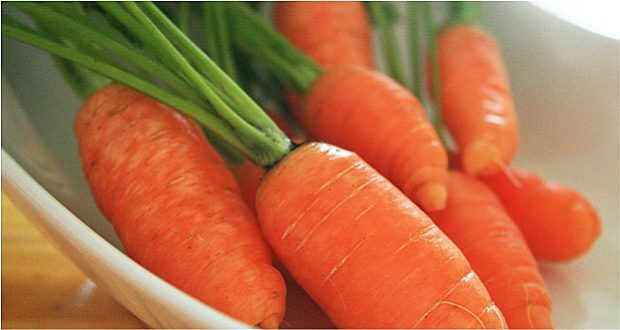 Motivation and Home Schooling: Finding the Right Carrot