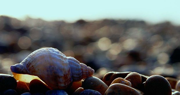 Sun, Sand, and… Science