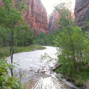 A Great Family Vacation: The Colorado Plateau