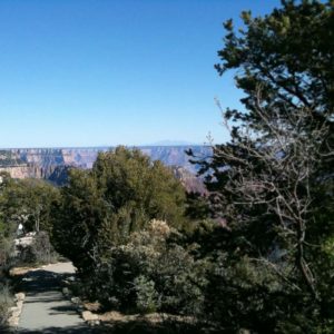 A Great Family Vacation: The Colorado Plateau