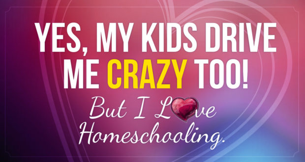 Yes, My Kids Drive Me Crazy Too! But I Love Homeschooling. - by Malia Lewis