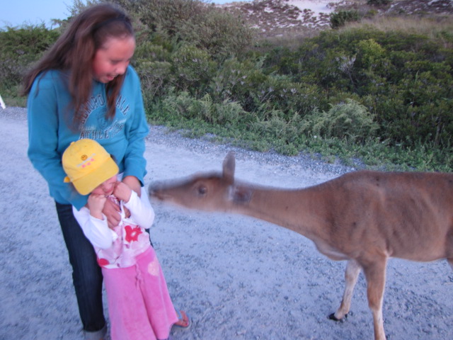 The Barrett Family |Oh Deer!