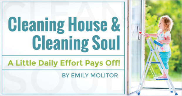 Cleaning House & Cleaning Soul: A Little Daily Effort Pays Off! - by Emily Molitor