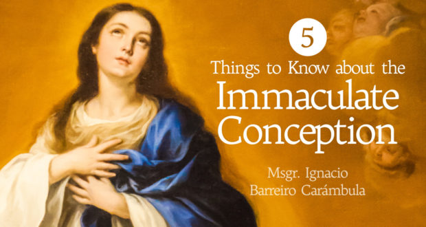5 Things to Know about the Immaculate Conception - by - Msgr. Ignacio Barreiro Carámbula