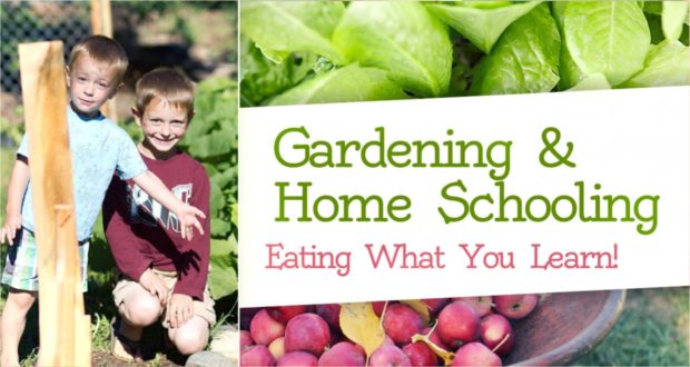 Gardening & Home Schooling: Eating What You Learn - by Heather Kerbis