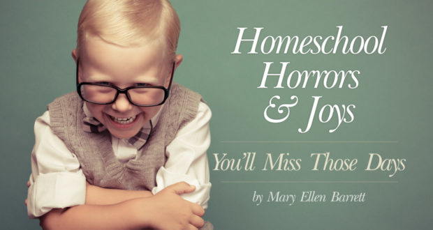 Homeschool Horrors and Joys: You'll Miss Those Days - by Mary Ellen Barrett