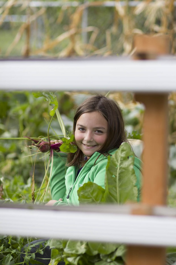 Gardening & Home Schooling: Eating What You Learn - by Heather Kerbis