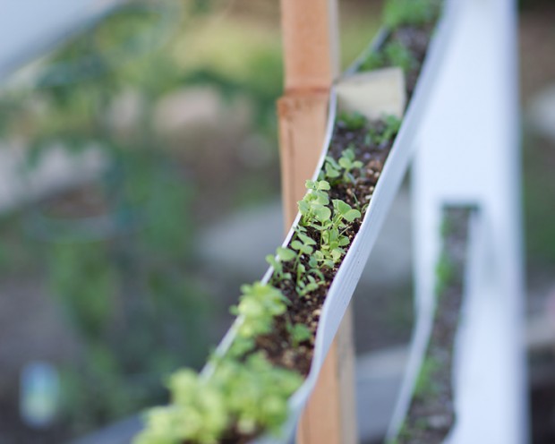 Gardening & Home Schooling: Eating What You Learn - by Heather Kerbis