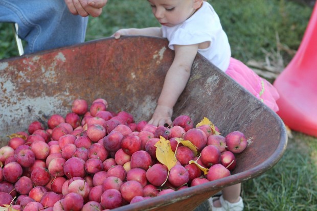 Gardening & Home Schooling: Eating What You Learn - by Heather Kerbis