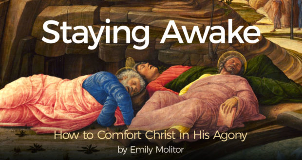 Staying Awake: How to Comfort Christ in His Agony - by Emily Molitor