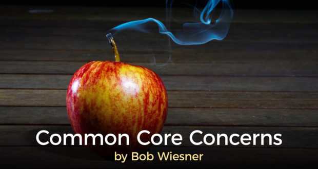 Common Core Concerns