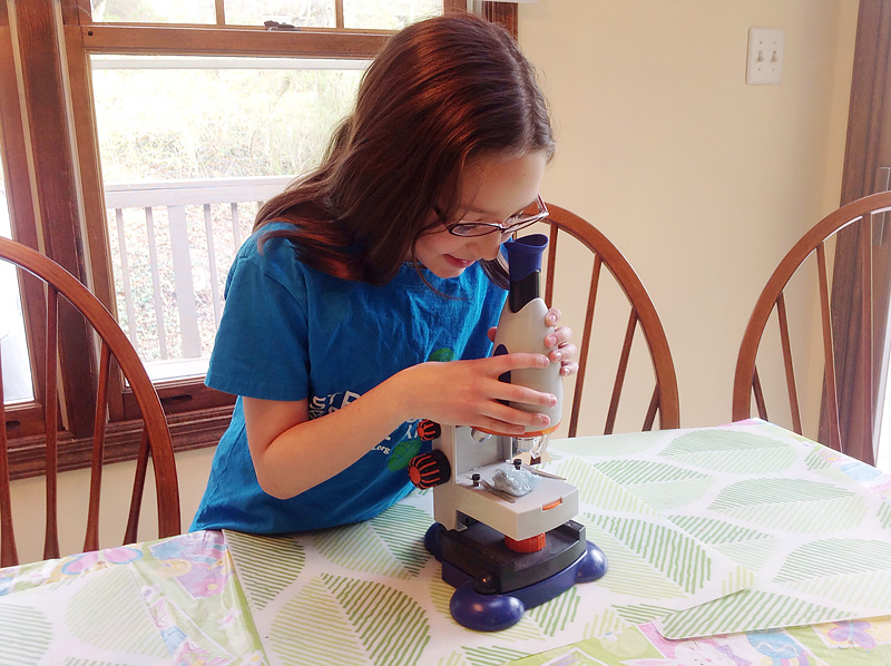 8 Ways I Foster the Love of Science in My Children - by  Angela Jaramillo