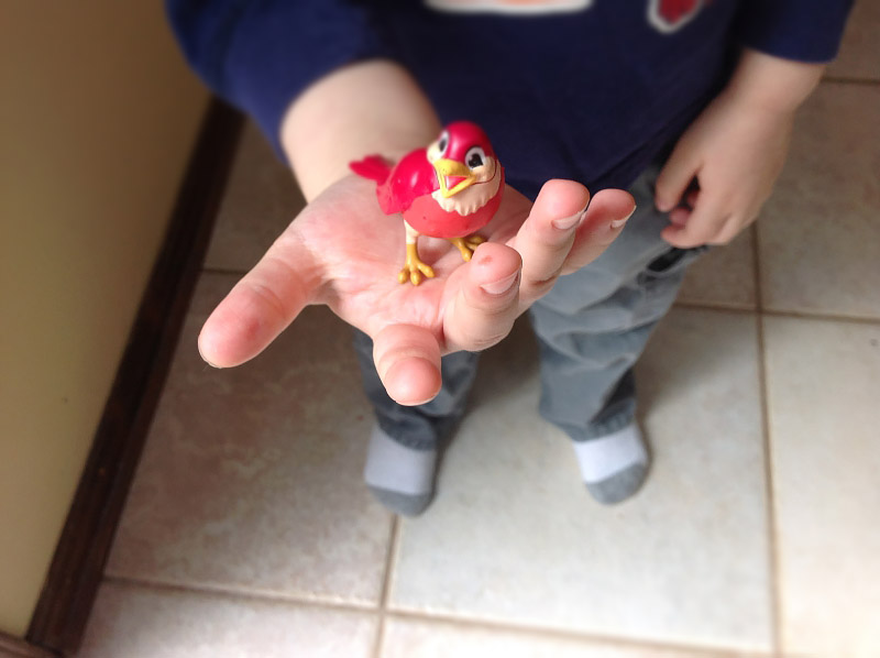 5 Fun Steps to Help Identify Bird Calls With Your Kids - by Angela Jaramillo