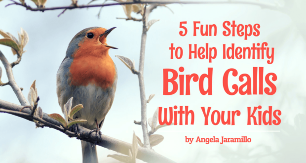 5 Fun Steps to Help Identify Bird Calls With Your Kids - by Angela Jaramillo