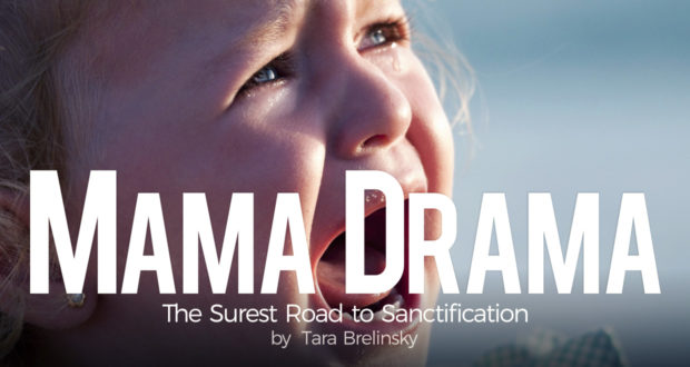 Mama Drama: The Surest Road to Sanctification - by Tara Brelinsky