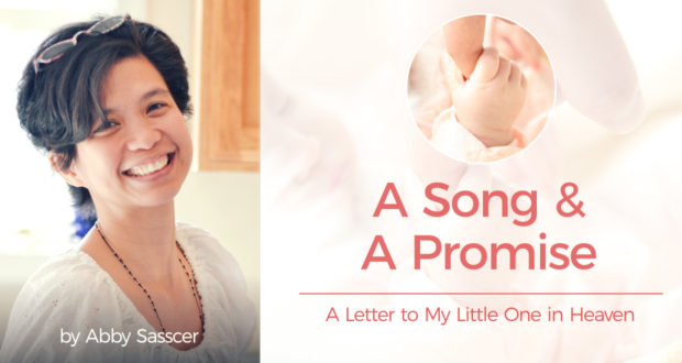 A Song & A Promise: A Letter to My Little One in Heaven - by Abby Sasscer