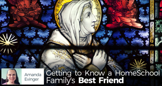 Getting to Know a Homeschool Family's Best Friend - Amanda Evinger