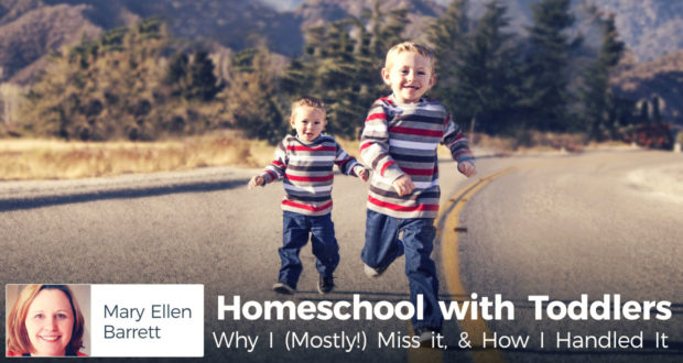 Homeschool with Toddlers: Why I (Mostly!) Miss it, & How I Handled It - by Mary Ellen Barrett