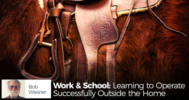 Work & School: Learning to Operate Successfully Outside the Home - by Bob Wiesner