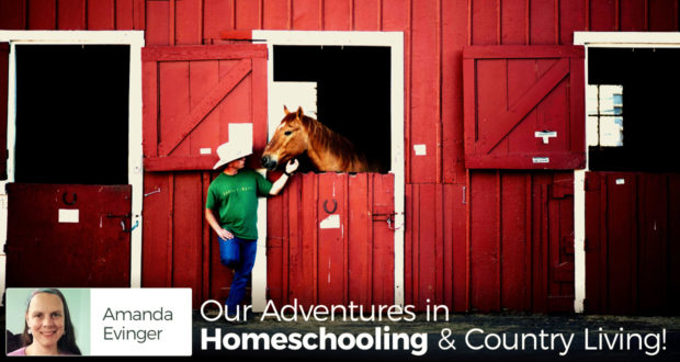 Our Adventures in Homeschooling & Country Living! - by Amanda Evinger