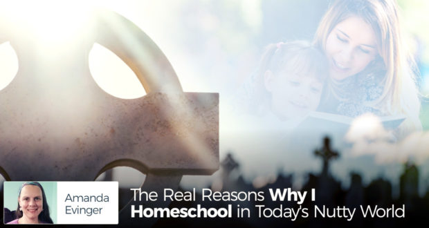 The Real Reasons Why I Homeschool in Today's Nutty World - by Amanda Evinger