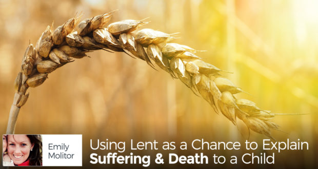 Using Lent as a Chance to Explain Suffering & Death to a Child - by Emily Molitor