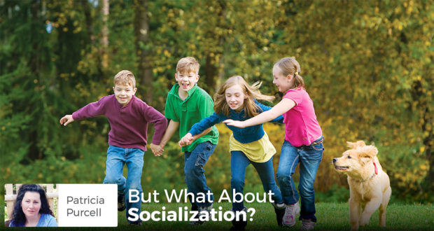 But What About Socialization? - Patricia Purcell