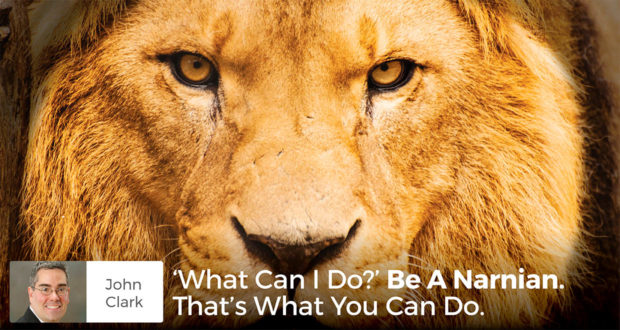 'What Can I Do?' Be A Narnian. That’s What You Can Do. - John Clark