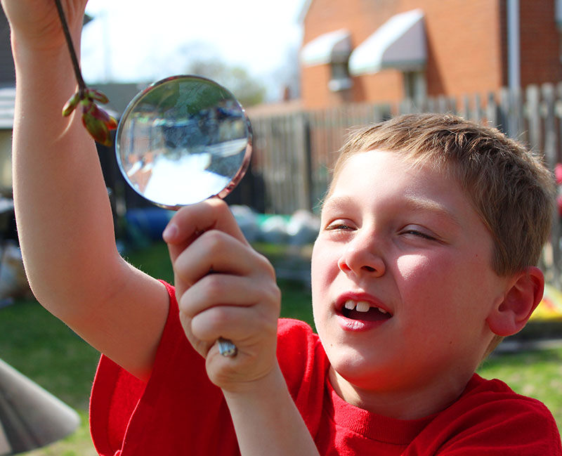 5 Wonderful Ways to Celebrate Spring in Your Homeschool - Heather Hryniewiecki