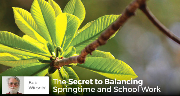 The Secret to Balancing Springtime and School Work - Bob Weisner