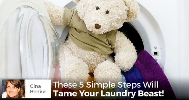These 5 Simple Steps Will Tame Your Laundry Beast! - Gina Berrios
