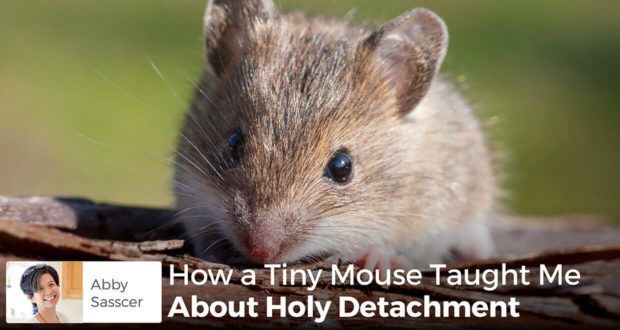 How a Tiny Mouse Taught Me About Holy Detachment - Abby Sasscer