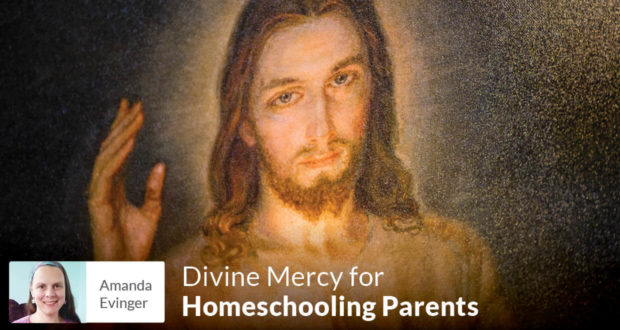 Divine Mercy for Homeschooling Parents - Amanda Evinger